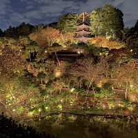 雲海が綺麗です。夏はほたるが見れます。