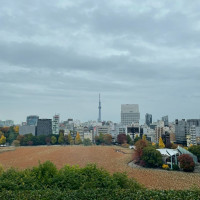 スカイツリーが披露宴会場から見えます！