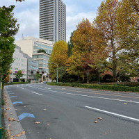 時期的に上野公園の紅葉が見頃でした。