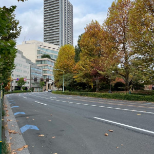 時期的に上野公園の紅葉が見頃でした。|783492さんのLUCIS(ルーキス)の写真(2601278)