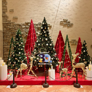 クリスマスの装飾がありました。