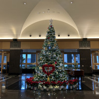 入ってすぐに大きなクリスマスツリー！写真映え間違いなし！