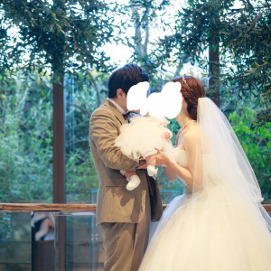 ファミリーキス|783697さんのザ・プレミアムレジデンス ラグナヴェール広島の写真(2610426)