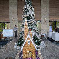 ロビーのクリスマスツリー