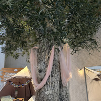 ウェルカムスペースに大きなシンボルツリーがあるよ