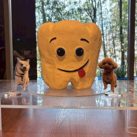 歯科衛生士なので歯のケーキをつくってもらった！