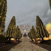 クリスマスシーズンだったのでライトアップされていました。