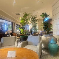 説明を受けたところ