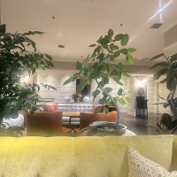 説明うけたところ