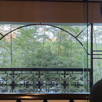 廊下から見える竹林