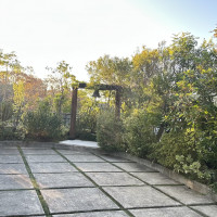 チャペル横の庭