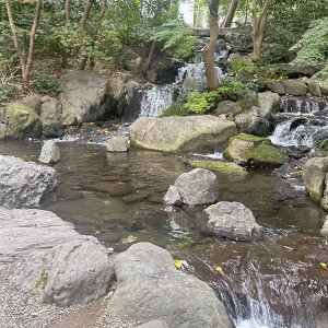 庭|783822さんの八芳園の写真(2602576)