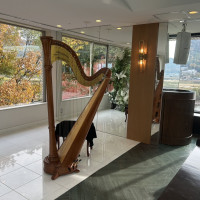 ハープの利用も可能で演出の幅が広がります。