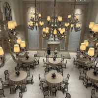 ラプンツェルのような登場ができる