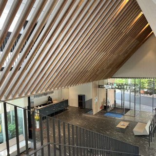 入り口入ってすぐの階段上からの写真