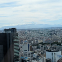 部屋からの眺め