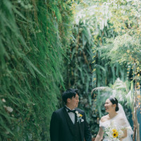 天気もよく緑が映えます。