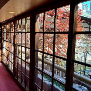 庭|784078さんの大阪天満宮の写真(2603921)