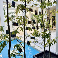 ロビーには写真を飾りました