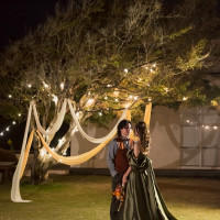 夜のガーデンはライトアップされてキレイでした。