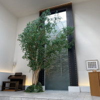 大きな木がある