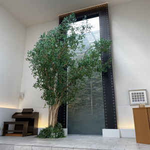 大きな木がある|784269さんのブランレヴュー宇都宮アクアテラスの写真(2604693)