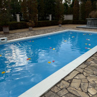 プール付きガーデン