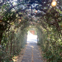 挙式まで向かう道