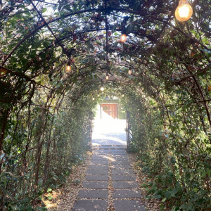 挙式まで向かう道|784421さんのラ・クラリエールの写真(2605082)