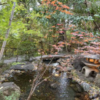 約700坪ある庭園