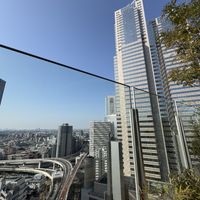 ガーデンからの景色。西新宿の街並みが一望出来る。