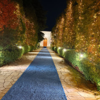 夜のイルミネーション