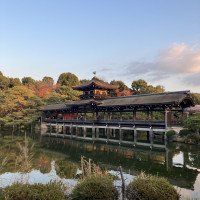 写真じっくり撮れるそうです