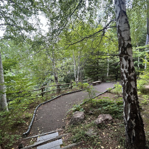 前撮り可能な中庭|784759さんの藻岩シャローム教会の写真(2606405)