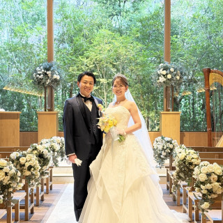 日の光がきれい