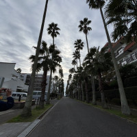 駐車場から挙式会場までの道