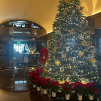 式場のロビーにはクリスマスツリーがあり、美しかったです。