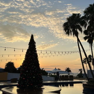 クリスマス限定のツリー