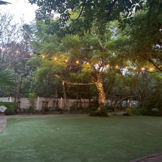 ガーデンイルミネーション