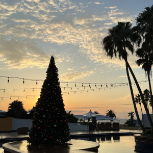 クリスマス限定のツリー|785002さんのTHE LUIGANS Spa & Resort(ザ・ルイガンズ.スパ&リゾート)の写真(2608134)