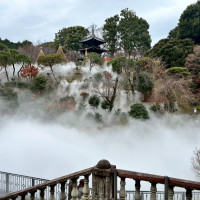 冬の雲海も幻想的です