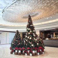 クリスマスの時期にはロビーにツリーが飾られます