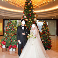 大きなツリーの前でも写真が撮れます