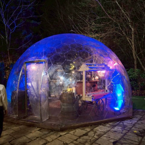 ドームの中でマシュマロ焼きができました。|785181さんのジャルダン・ドゥ・ボヌールの写真(2612619)