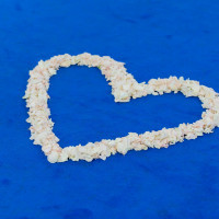 フラワーシャワー後の花びらを集めて、ハートを作ってくれました