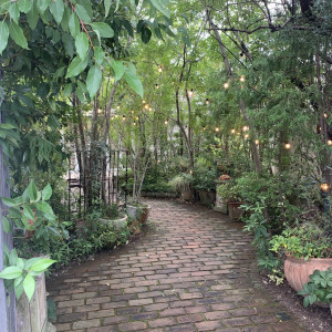 入り口入ってすぐの道
夜でも電球の光で雰囲気が良さそう|785221さんのRouge Blanc(ルージュ:ブラン)●BRASSグループの写真(2613296)