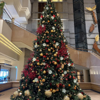12月なのでクリスマスツリーが出ており、その前でも撮影