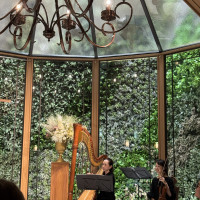 ハープとバイオリンの生演奏です。