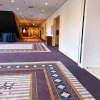 また、こちらは違った絨毯です。