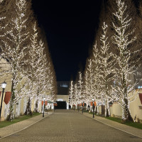 イルミネーションもとってもきれいでした